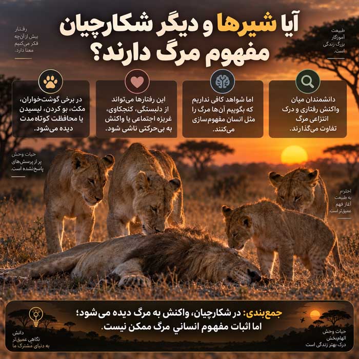 حیواناتی که از زمان مرگ خود خبر دارند؛ رفتار جانوران نزدیک مرگ؛ تفاوت شواهد علمی با باورهای رایج آیا شیرها و دیگر شکارچیان مفهوم مرگ دارند؟