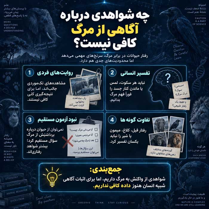 حیواناتی که از زمان مرگ خود خبر دارند؛ رفتار جانوران نزدیک مرگ؛ تفاوت شواهد علمی با باورهای رایج چه شواهدی درباره آگاهی از مرگ کافی نیست؟