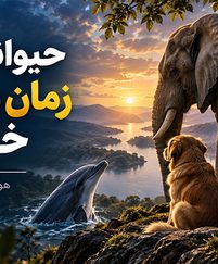 حیواناتی که از زمان مرگ خود خبر دارند