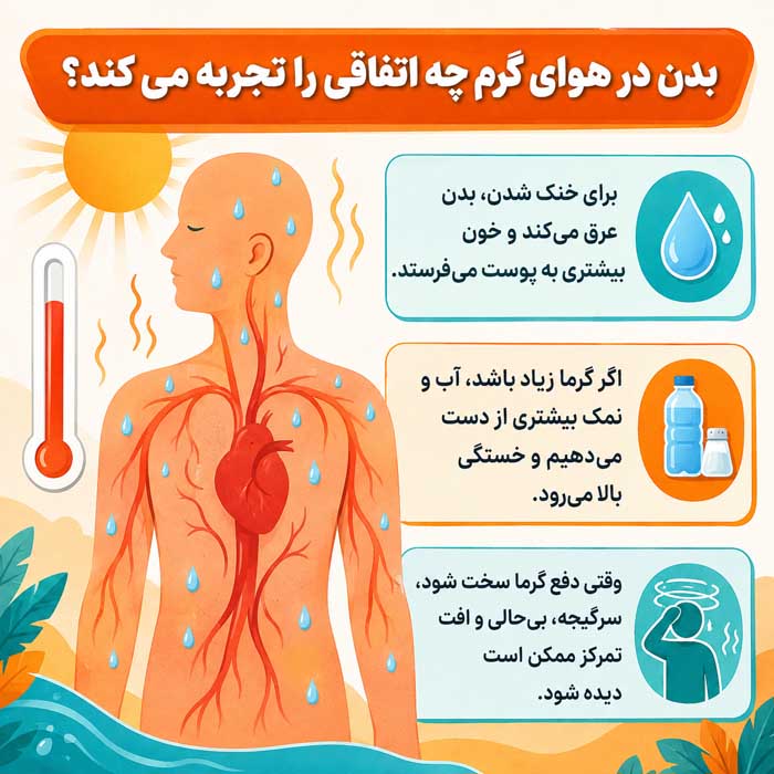 بدن در هوای گرم چه اتفاقی را تجربه می‌کند؟