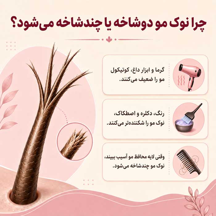 چرا نوک مو دوشاخه یا چندشاخه می‌شود؟