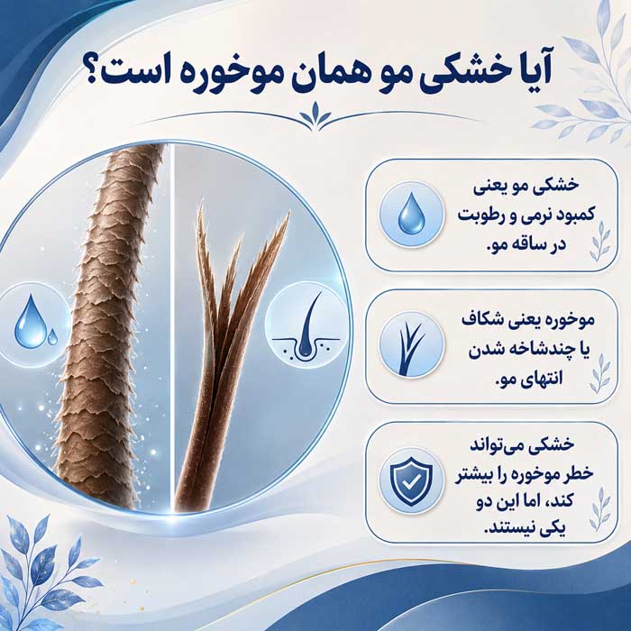 آیا خشکی مو همان موخوره است؟