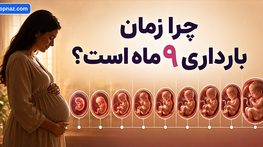 چرا زمان بارداری ۹ ماه است؟ دلیل ۴۰ هفته بودن بارداری و نحوه محاسبه سن جنین