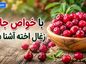 با خواص جالب زغال اخته آشنا شوید؛ ارزش غذایی و ترکیبات آنتیاکسیدانی؛ فواید احتمالی و نکات مصرف با خواص جالب زغال اخته آشنا شوید