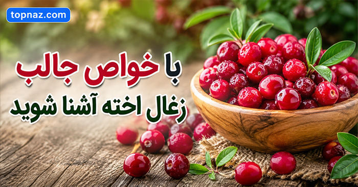 با خواص جالب زغال اخته آشنا شوید؛ ارزش غذایی و ترکیبات آنتی‌اکسیدانی؛ فواید احتمالی و نکات مصرف