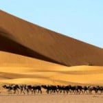 بیابان
