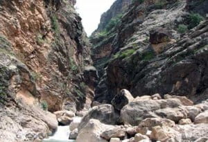 آبشار تله زنگ