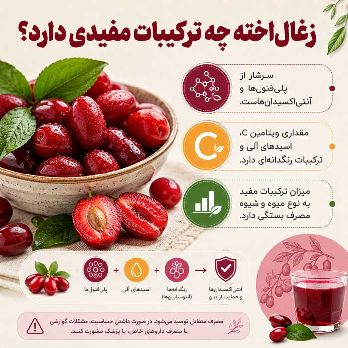 زغال‌اخته چه ترکیبات مفیدی دارد؟
