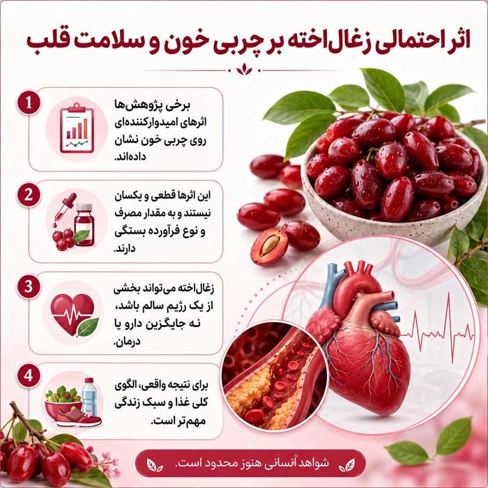 اثر احتمالی زغال‌اخته بر چربی خون و سلامت قلب