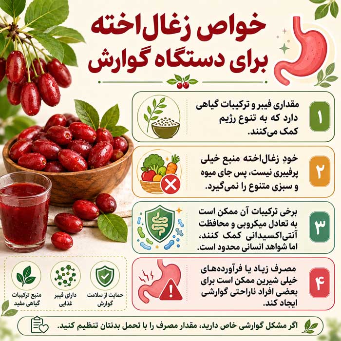 خواص زغال‌اخته برای دستگاه گوارش