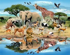 دانستنی های جالب در مورد حیوانات حیوانات