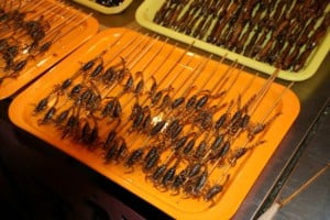 غذاهای وحشتناک و چندش آور چینی +عکس عقرب