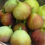 با خوردن این 8 ماده غذایی میل جنسی بالا می رود غذای جنسی