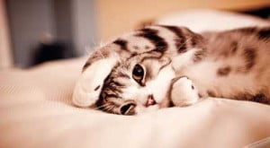 این 10 کار شما را بی حوصله می کند بی حوصله