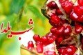 معرفی بازی های شب یلدا بازی های شب یلدا