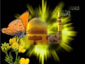 زندگینامه امام علی بن موسی الرضا (علیه السلام) زندگینامه اما هشتم امام رضا