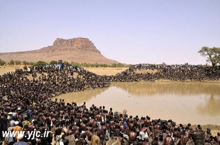 عجیب ترین راه ماهیگیری در دنیا +عکس