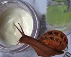 آیا کرم حلزون واقعا خواص دارد؟