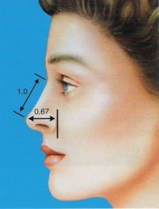 مشخصات بینی طبیعی3