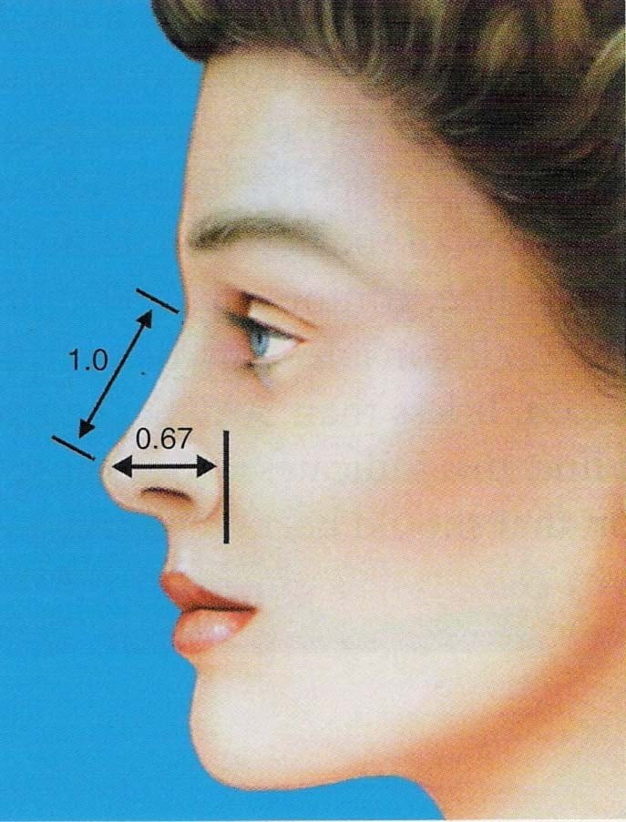 یک بینی زیبا و بدون عیب چه شکلی است؟ +عکس