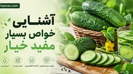 آشنایی خواص بسیار مفید خیار؛ ارزش غذایی و آب فراوان؛ فواید احتمالی و باورهای اغراقآمیز آشنایی خواص بسیار مفید خیار