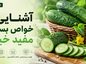 آشنایی خواص بسیار مفید خیار