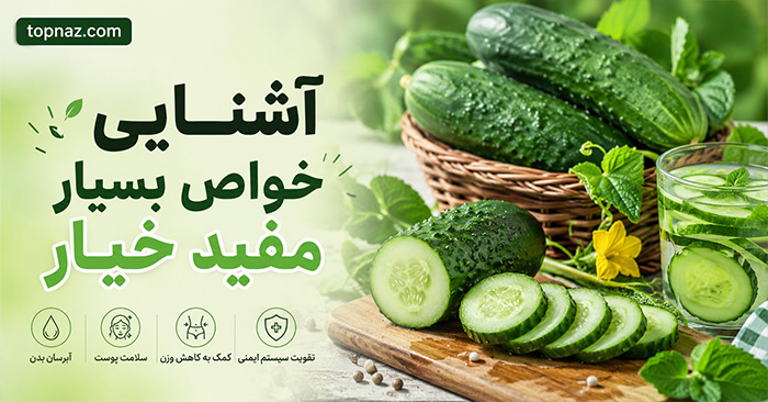 آشنایی خواص بسیار مفید خیار؛ ارزش غذایی و آب فراوان؛ فواید احتمالی و باورهای اغراقآمیز آشنایی خواص بسیار مفید خیار؛ ارزش غذایی و آب فراوان؛ فواید احتمالی و باورهای اغراقآمیز