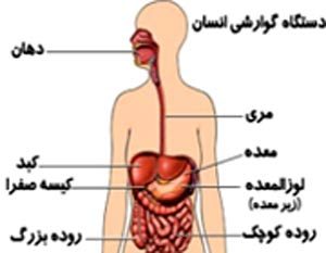 بیماریهای گوارشی و کبدی و روزه داری بیماریهای گوارشی و کبدی و روزه داری