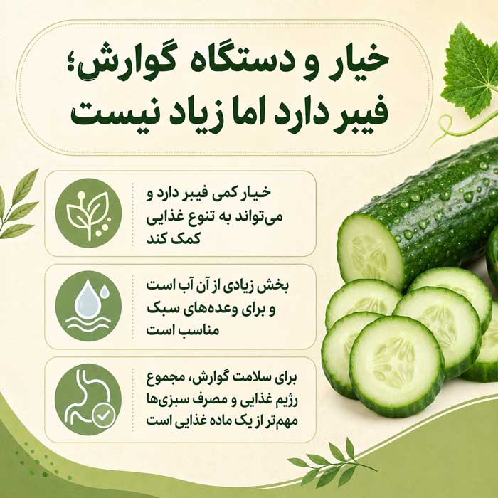 آشنایی خواص بسیار مفید خیار؛ ارزش غذایی و آب فراوان؛ فواید احتمالی و باورهای اغراقآمیز ۳. خیار و دستگاه گوارش؛ فیبر دارد اما زیاد نیست