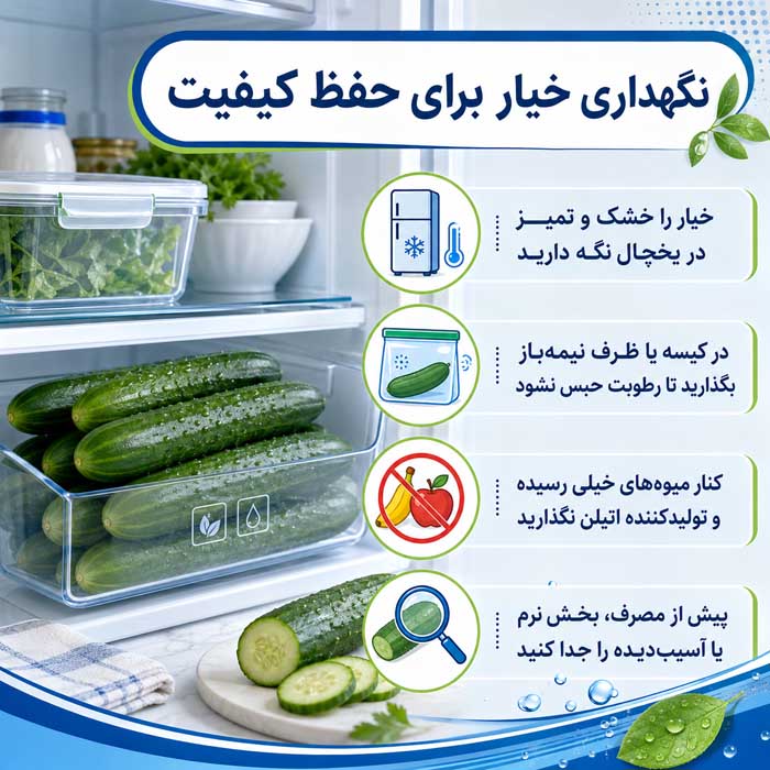 آشنایی خواص بسیار مفید خیار؛ ارزش غذایی و آب فراوان؛ فواید احتمالی و باورهای اغراقآمیز نگهداری خیار برای حفظ کیفیت