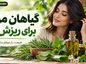گیاهان مؤثر برای ریزش مو