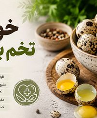 خواص تخم بلدرچین
