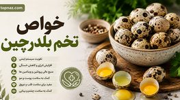 خواص تخم بلدرچین؛ ارزش غذایی و پروتئین؛ تفاوت با تخممرغ و نکات مصرف ایمن خواص تخم بلدرچین