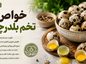 خواص تخم بلدرچین