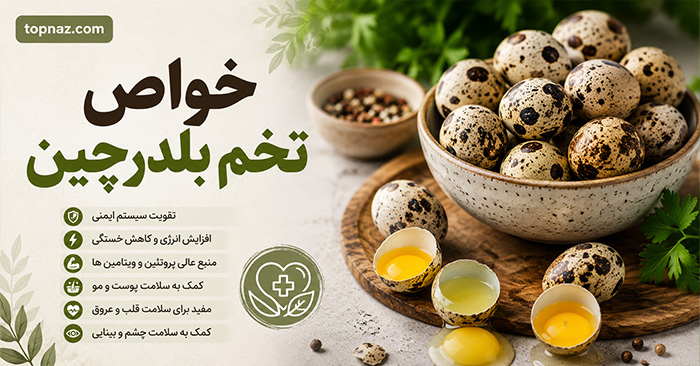 خواص تخم بلدرچین