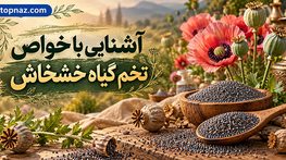 آشنایی با خواص تخم گیاه خشخاش؛ ارزش غذایی، فواید و نکات مهم ایمنی