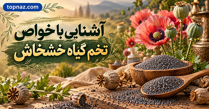 آشنایی با خواص تخم گیاه خشخاش؛ ارزش غذایی، فواید و نکات مهم ایمنی