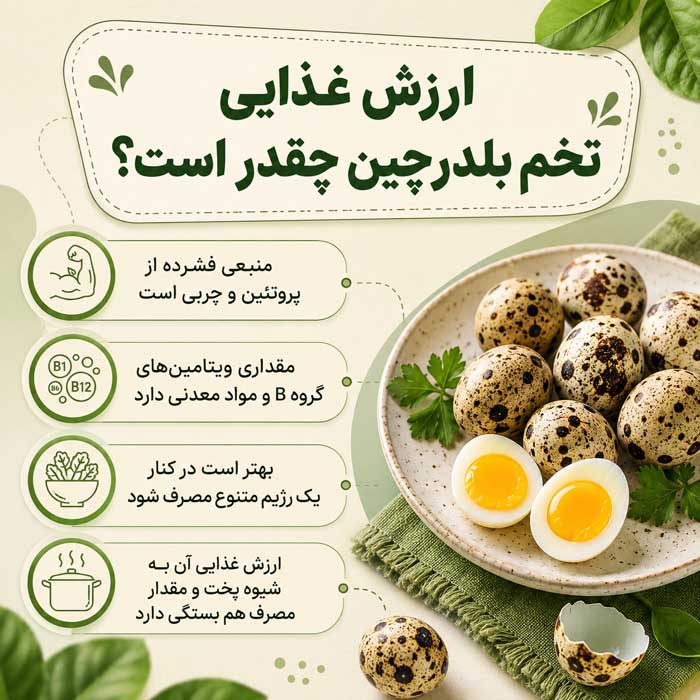 ارزش غذایی تخم بلدرچین چقدر است؟