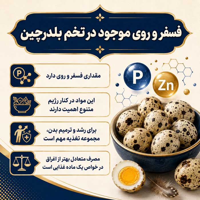 ۷. فسفر و روی موجود در تخم بلدرچین