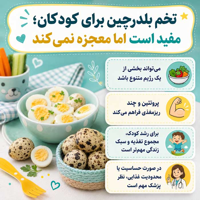 تخم بلدرچین برای کودکان؛ مفید است اما معجزه نمی‌کند