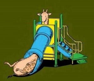 عکس خنده دار