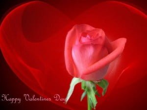 عکس های زیبای روز عشق و تبریک روز عشق کارت پستال ولنتاین 2014 Valentine