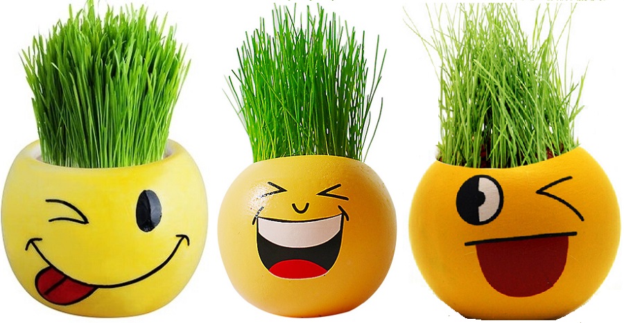 مدل های زیبای سبزه عید