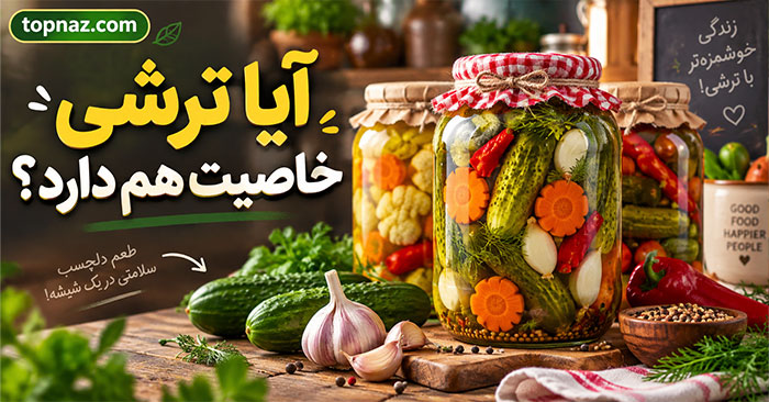 آیا ترشی خاصیت هم دارد؟؛ تفاوت ترشی تخمیری و سرکهای؛ نقش نمک، سبزیجات و باکتریهای زنده آیا ترشی خاصیت هم دارد؟؛ تفاوت ترشی تخمیری و سرکهای؛ نقش نمک، سبزیجات و باکتریهای زنده