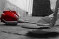 شعر زیبا و عاشقانه شب های جدایی شعر زیبا و عاشقانه شب های جدایی