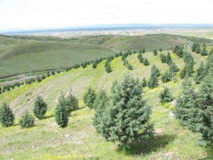 پارکهای جنگلی ایران پارکهای جنگلی ایران