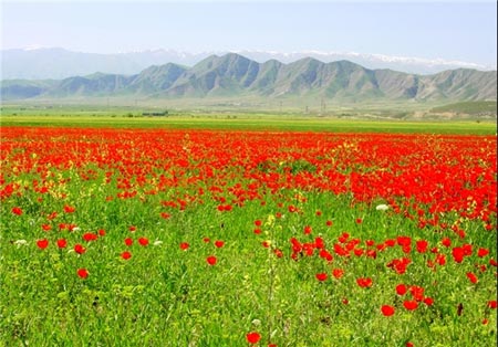 عکس های دیدنی از طبیعت زیبای تاجیکستان عکس های دیدنی از طبیعت زیبای تاجیکستان