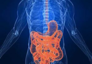 فواید روزه گرفتن از دیدگاه طب سنتی فواید روزه گرفتن از دیدگاه طب سنتی