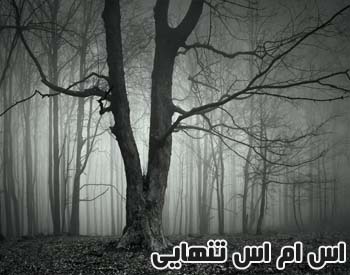 اس ام اس های تنهایی و غم