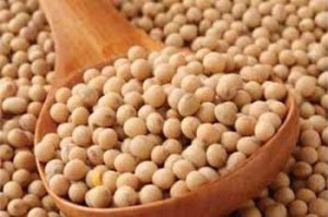 6 ماده غذایی برای تامین منیزیم 6 ماده غذایی برای تامین منیزیم